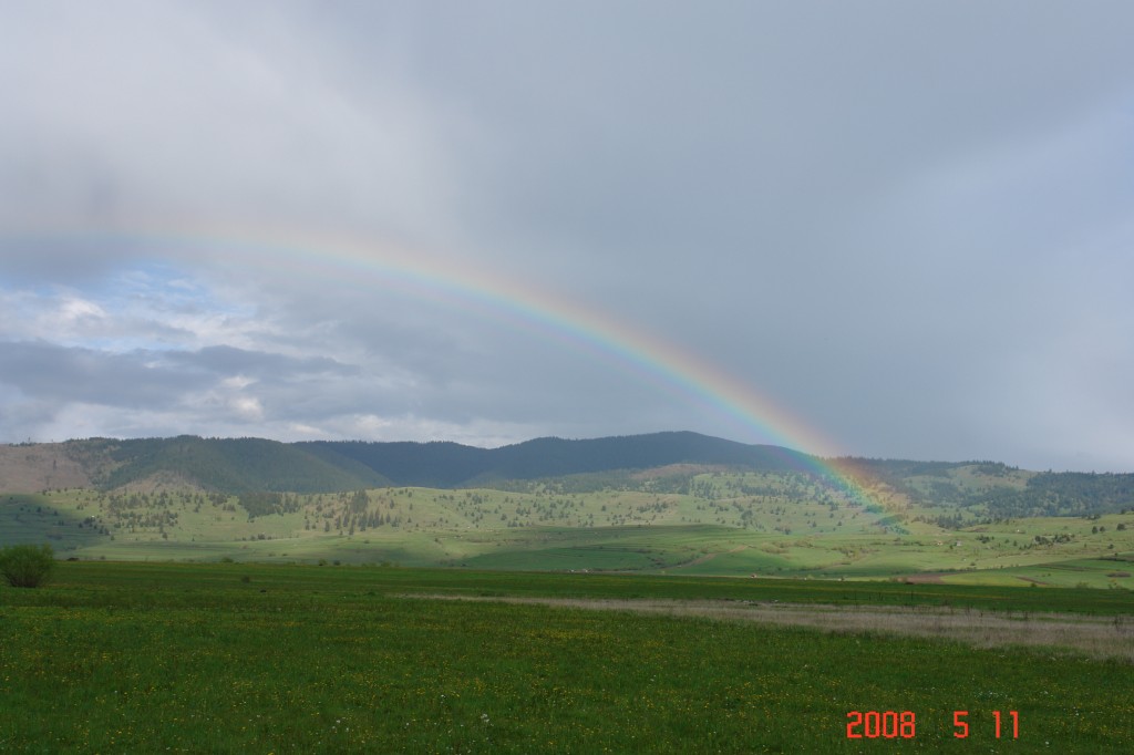 DSC00092
