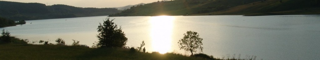 cropped-DSC04298.jpg